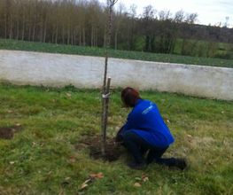 Jardin Bleu image 5