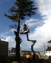 Earl Riou Jacques image 4