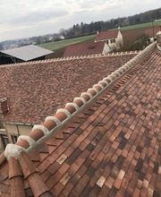 Momy Stéphane image 2