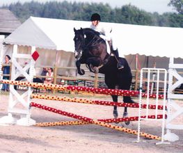 Centre Equestre de Crézancy image 2