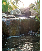 Höfler Heiko Bild 1