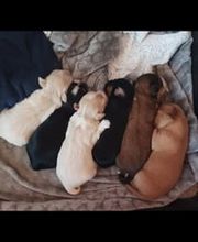 Domaine Fasalie image 2