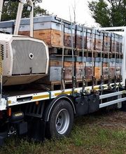 Le Rucher des Hautes Vosges image 1