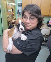 Independence Animal Hospital image 5