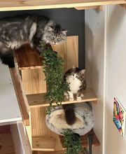 Le CHATel hôtel image 19