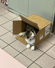 Veterinary Medical Center image 5