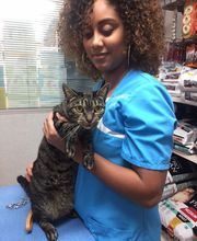 Clinique Vétérinaire de la Montagne - Luna Park image 2