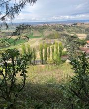 Vinum Verum GmbH Bild 2