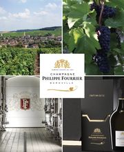 Fourrier Delmotte SARL image 4