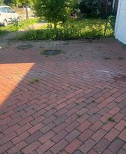 Haus-&Gartenservice Rose Bild 29