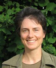 Akupunktur-Praxis TCM Bild 1