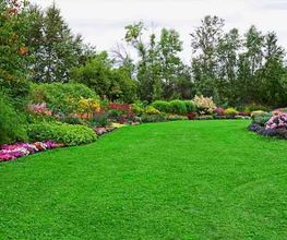 373347--jardineria-casanova-jardin-verde--con-flores.jpg