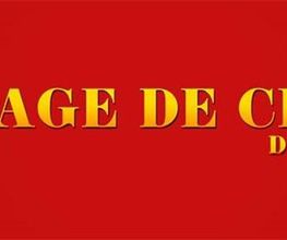 Village De Chine image 6