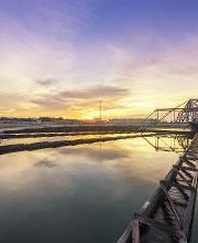 MOSQUINTES, S.L imagen 2