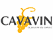 Cavavin