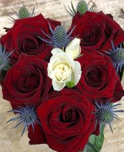 Floraison Fleuriste image 12