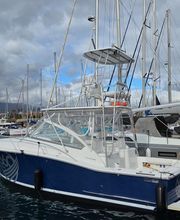 Boat 360 - Pesca Deportiva & Chárter Privado Tenerife imagen 8