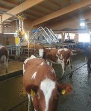 DSC Vial Sàrl Bild 13