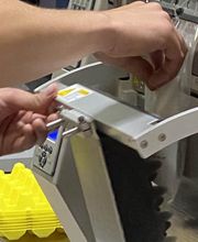 Northern Wings image 12