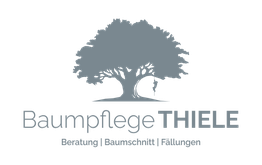 Baumpfelge Thiele