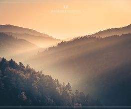 Dirk Doebele Fotografie Bild 4