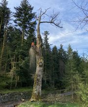 Jardins Arborés image 19