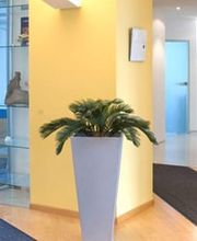 Praxis für Mund-, Kiefer- und Gesichtschirurgie Dr.med. Udo E. Novacek, M.Sc. & Dr.med.dent. Claudia Novacek Bild 3