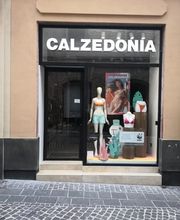 Calzedonia immagine 1