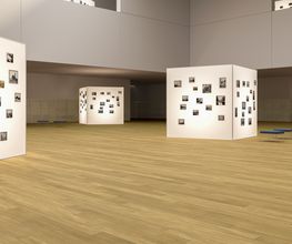 SUELO DE MADERA DE TAUARI.
MAHOT WOOD FLOORING.
