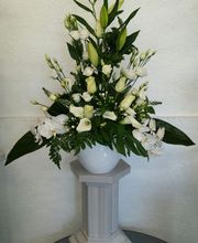La Rose Rouge image 3