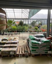 Pépinières de Corme Royal image 17