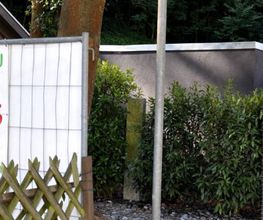 Garten- und Landschaftsbau Rui Alves Bild 1