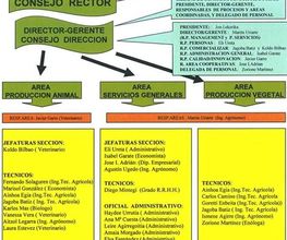 Lorra S. Coop. imagen 5