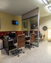 Gallery Cliente