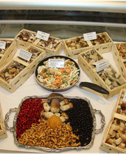 Baier Georg GmbH Bild 8