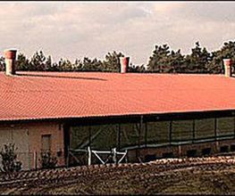 BBG Dachdecker GmbH Beelitz Bild 10
