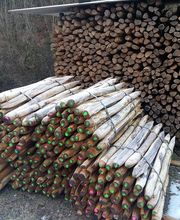 Montavon Francis et Fils SA Bild 13