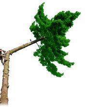 Arbor & Paysage image 12