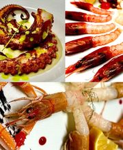 Gallery Cliente