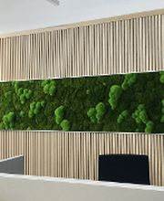 MODUS Consult GmbH Bild 7