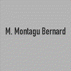 Montagu Bernard