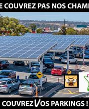 Dos Santos Sylvain image 5