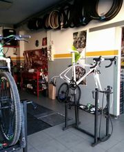 Gallery Professionale