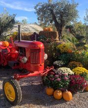 Agrément Jardins image 10