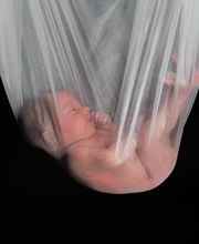 csp Photodesign - C. Schramm-Pose - Fotograf Bild 5