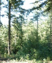 La Forestière - Agence Nord-Est image 2