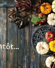 Restaurant Jenny image 14