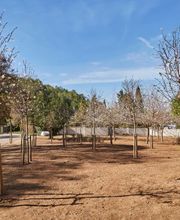 Cementiri Les Pruelles Sitges imagen 5