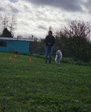 Bien dans ses Pattes image 13