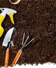 Jardiland La Rosée image 9